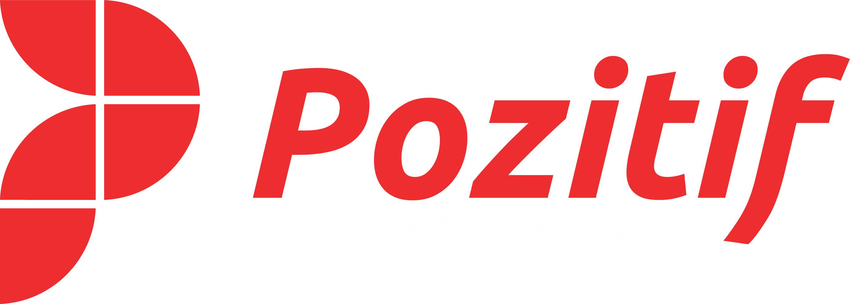 Pozitif Bilişim ve Güvenlik Sistemleri